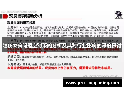 赵鹏欠薪问题应对策略分析及其对行业影响的深度探讨 赵鹏欠薪问题应对策略分析及其对行业影响的深度探讨