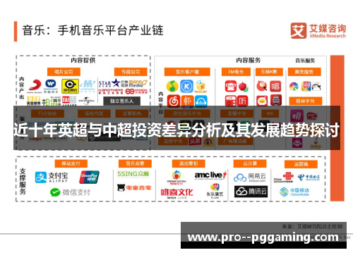 近十年英超与中超投资差异分析及其发展趋势探讨 近十年英超与中超投资差异分析及其发展趋势探讨