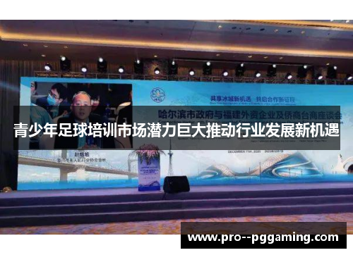 青少年足球培训市场潜力巨大推动行业发展新机遇